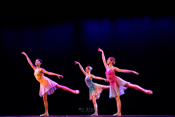 IMG_7704 copy