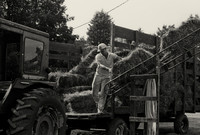 Life on the Farm