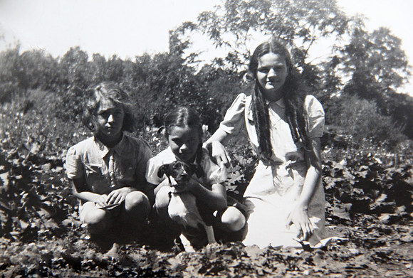 Iva, Ruth & Dorthy Elmer