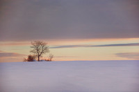 Winter Calm