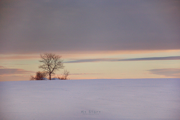 Winter Calm