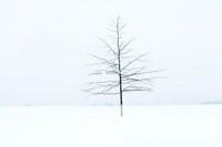 Alone
