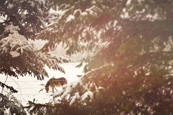 Winter Magic