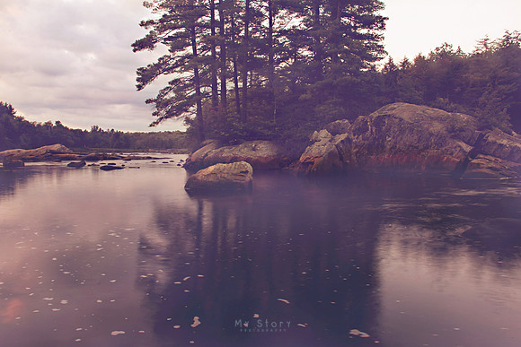 Evening Light Reflections