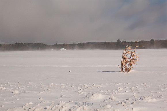 Snow Dust