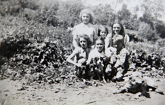 Elizabeth, Glady, Dorthy Elmer, Iva, Ruth & Dave Elmer