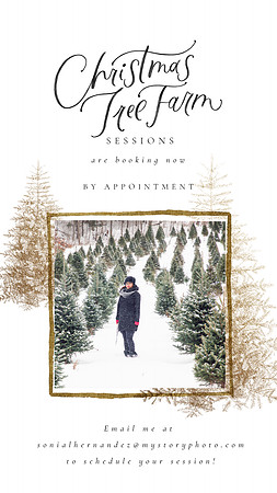 PetiteHolidayvol4_IgStoriestemplate2_ohsnap