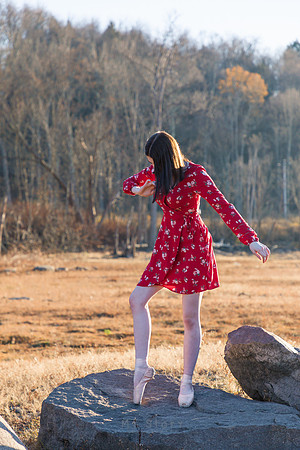 440A3165 copy