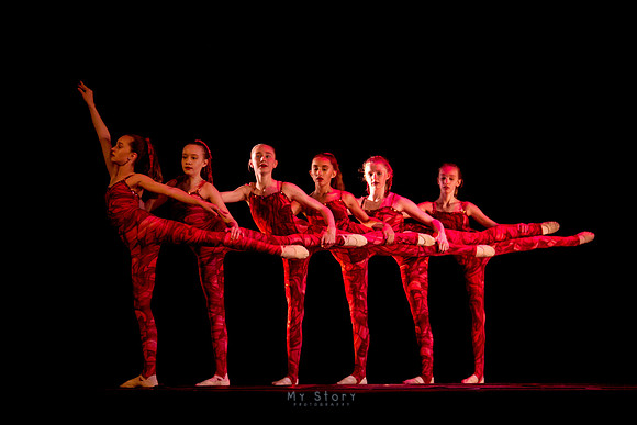 IMG_7676 copy
