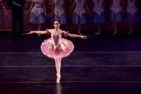 Sleeping Beauty 2016 Perfomances