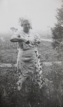 Sarah Millard (Willis's Wife)