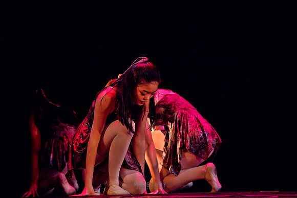 IMG_7719 copy